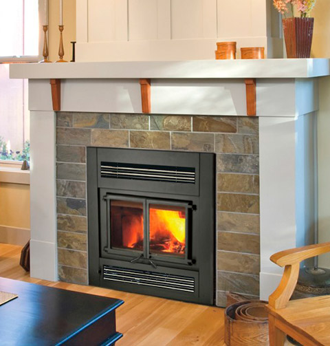 wood burning fireplaces in madison wi