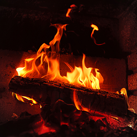 Learn Why Your Fire Wood Isn't Burning - Some Wood Species Burns Best