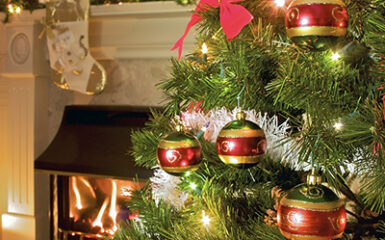 Fireplace and Christmas Tree Safety