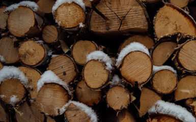 wet firewood